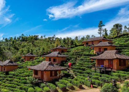 investasi agrowisata