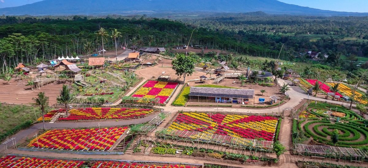 sukses agrowisata
